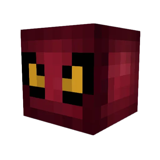 dudely_coolie Minecraft avatar head, 3D render