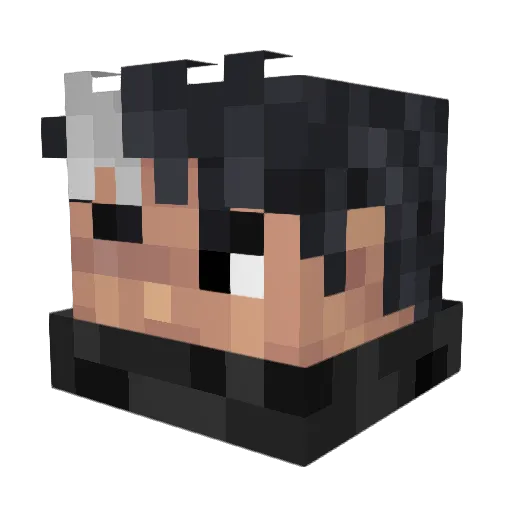 dudemcdude701 Minecraft avatar head, 3D render