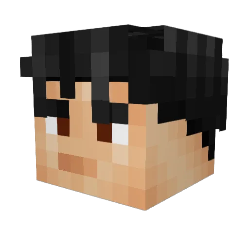 dudeofdrobak Minecraft avatar head, 3D render