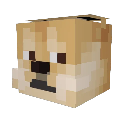 dudeshutupidc Minecraft avatar head, 3D render