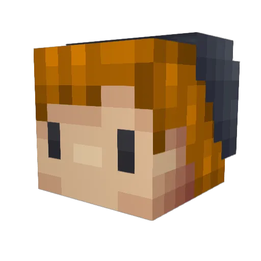 dudeweaver Minecraft avatar head, 3D render
