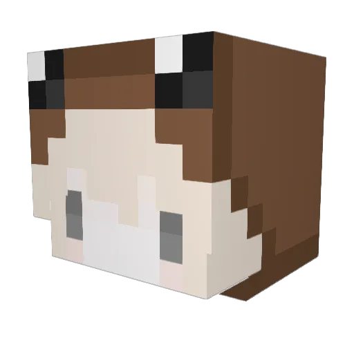 dudi Minecraft avatar head, 3D render