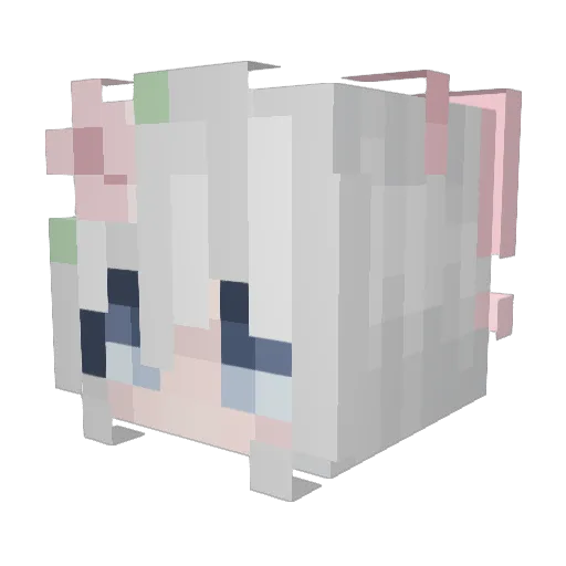dudjop Minecraft avatar head, 3D render