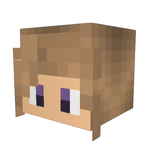 dudleyE Minecraft avatar head, 3D render