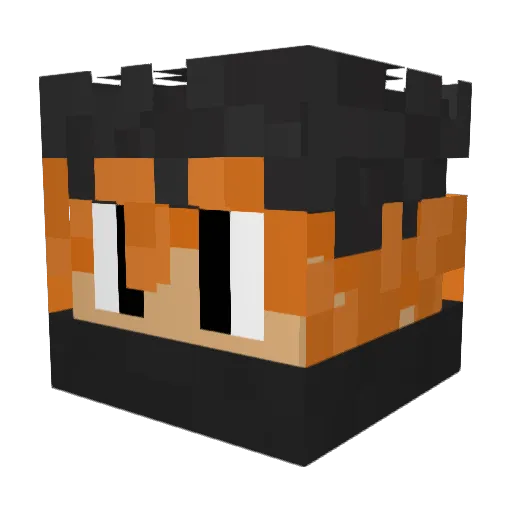 duduca2903 Minecraft avatar head, 3D render