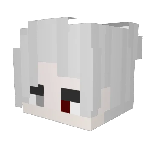 dudwasup Minecraft avatar head, 3D render
