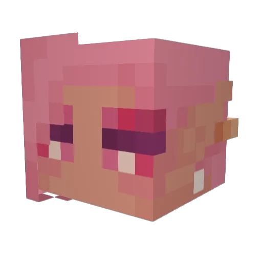 duelistsdance Minecraft avatar head, 3D render