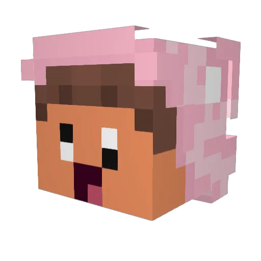 duelwlr Minecraft avatar head, 3D render