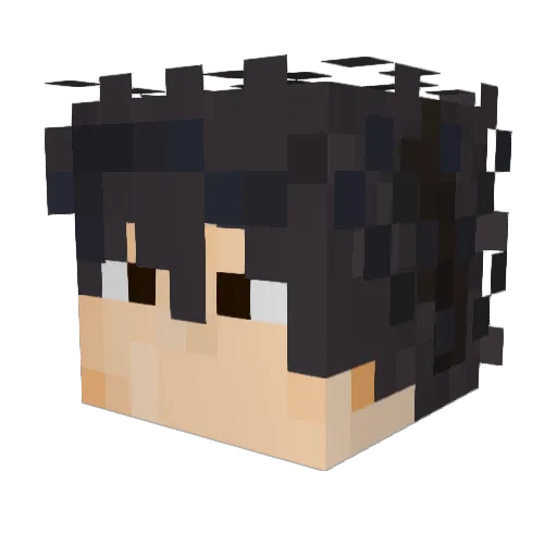 duere Minecraft avatar head, 3D render