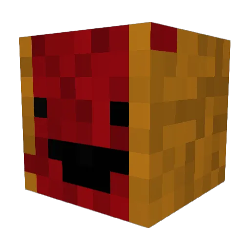 duffylover25 Minecraft avatar head, 3D render
