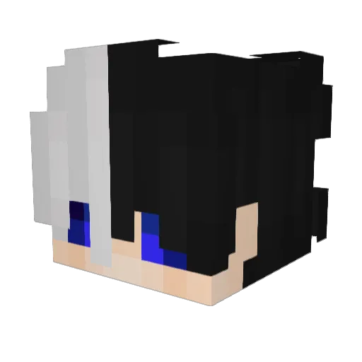 dufy_xz Minecraft avatar head, 3D render