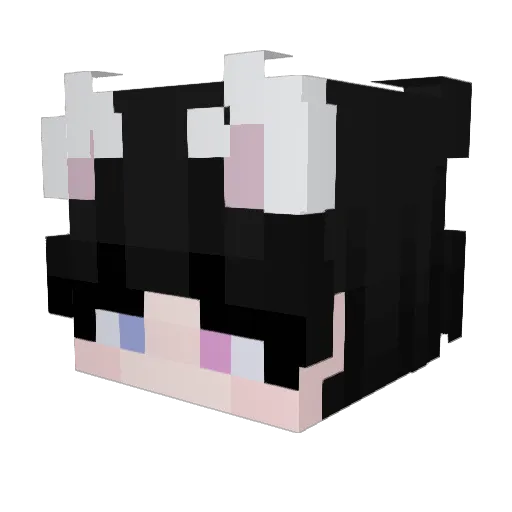 duil_2 Minecraft avatar head, 3D render