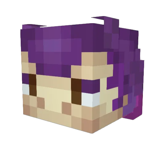 duistervuur Minecraft avatar head, 3D render