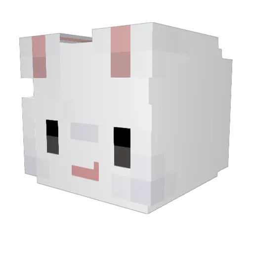 duk_cho Minecraft avatar head, 3D render