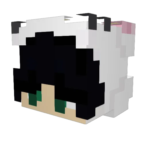 dukannmc Minecraft avatar head, 3D render