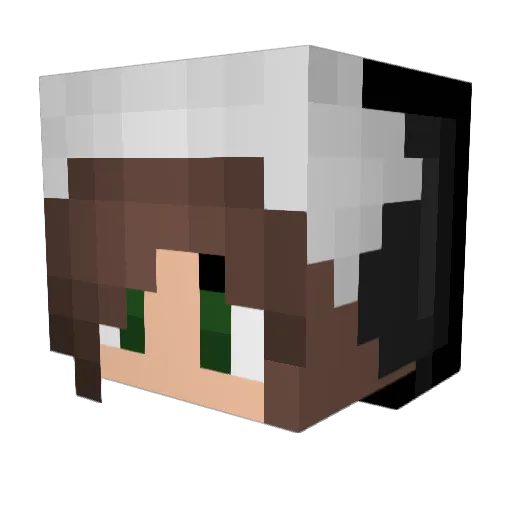 dukedakota Minecraft avatar head, 3D render