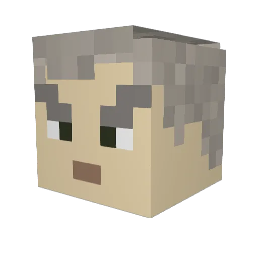 dukeman_94 Minecraft avatar head, 3D render