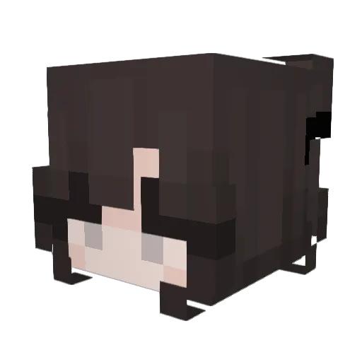 dulcexz Minecraft avatar head, 3D render