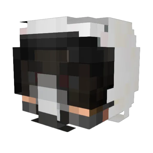 dulsson Minecraft avatar head, 3D render
