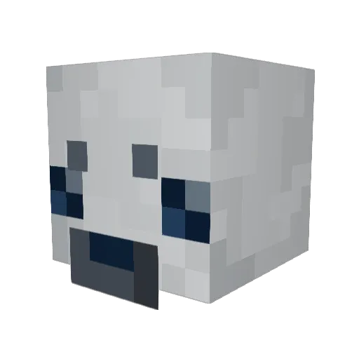 dumbSealion Minecraft avatar head, 3D render