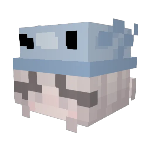 dumb__taco Minecraft avatar head, 3D render