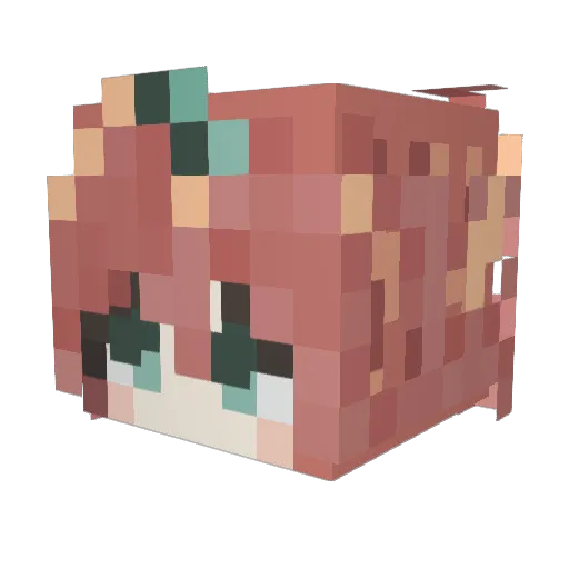 dumb_car Minecraft avatar head, 3D render