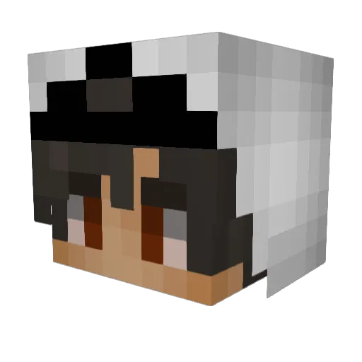 dumb_fyck Minecraft avatar head, 3D render