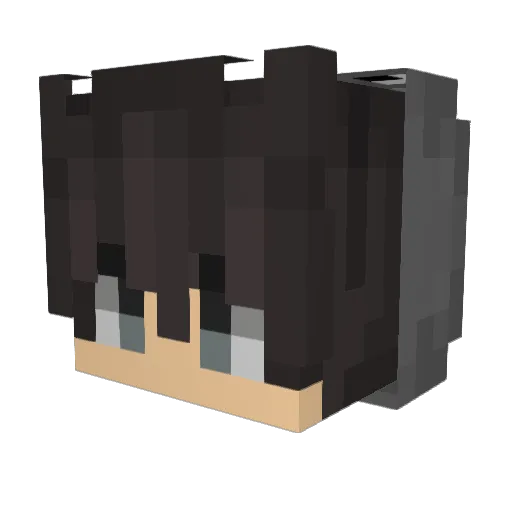 dumb_username Minecraft avatar head, 3D render