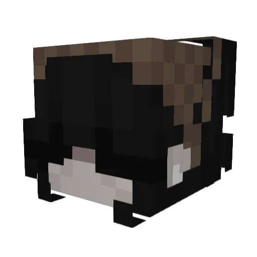 dumbaszz Minecraft avatar head, 3D render