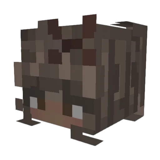 dumbbuggy Minecraft avatar head, 3D render