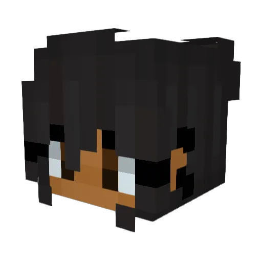 dumbcoconuthead Minecraft avatar head, 3D render