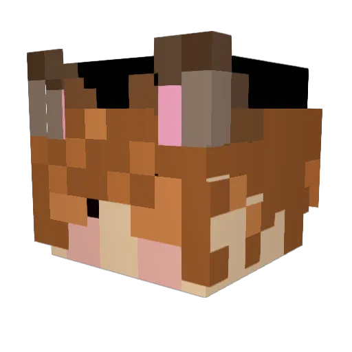 dumbdumb4078 Minecraft avatar head, 3D render