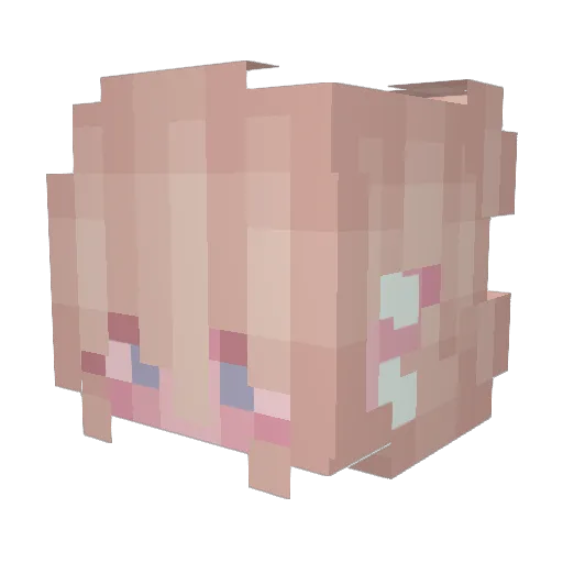 dumbfemboy Minecraft avatar head, 3D render