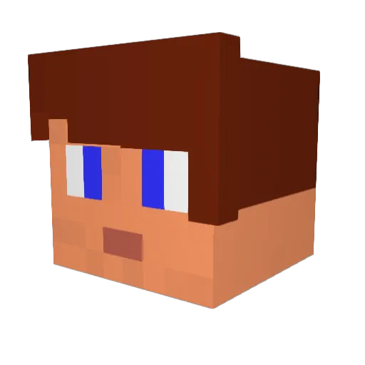 dumbguy2012 Minecraft avatar head, 3D render