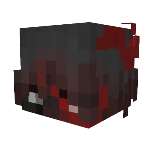 dumbissdumb Minecraft avatar head, 3D render