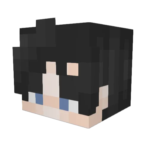 dumbtodo Minecraft avatar head, 3D render