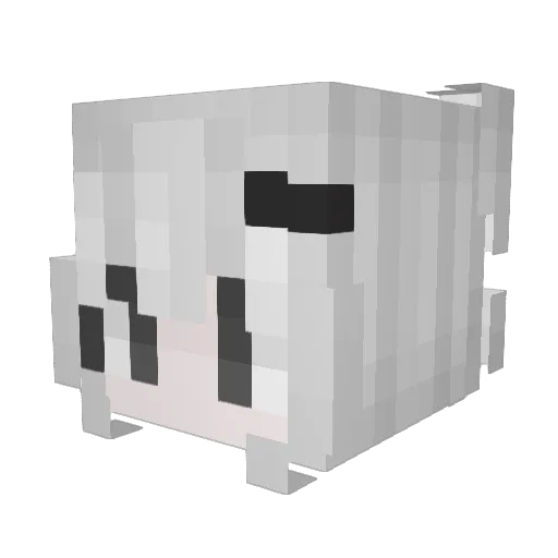 dumbx3 Minecraft avatar head, 3D render