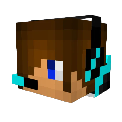 dumcrafter2028 Minecraft avatar head, 3D render