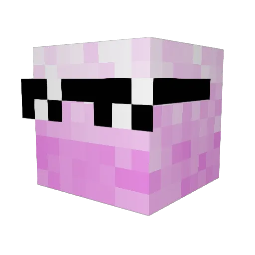 dumdumhooman Minecraft avatar head, 3D render