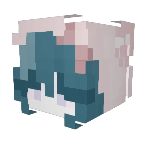 dumfuu Minecraft avatar head, 3D render
