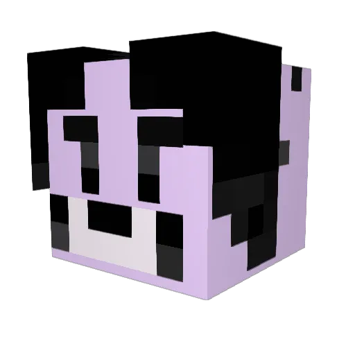 duminii Minecraft avatar head, 3D render