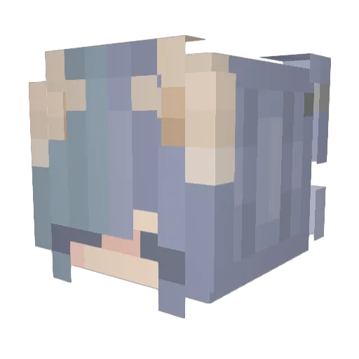 dumkins Minecraft avatar head, 3D render