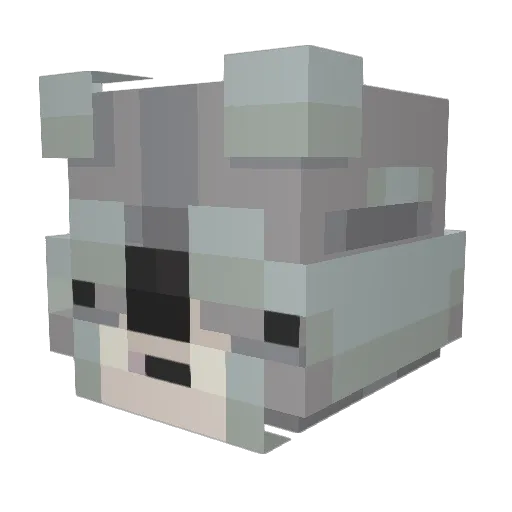 dumkoala Minecraft avatar head, 3D render