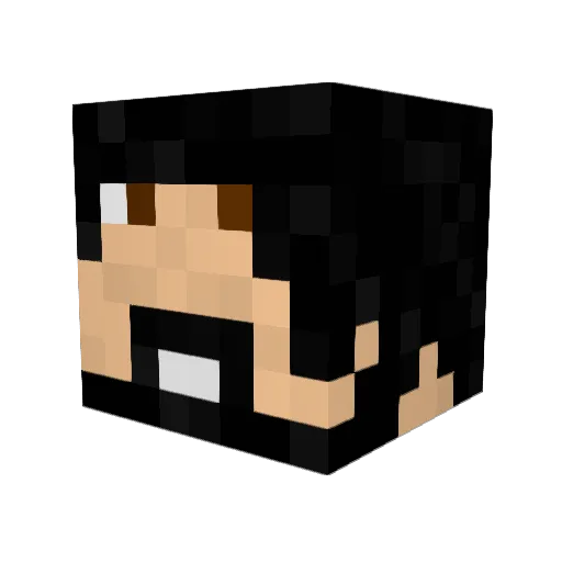 dummerkid Minecraft avatar head, 3D render
