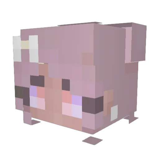 dumpl1ng54 Minecraft avatar head, 3D render