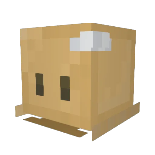 dumpling11 Minecraft avatar head, 3D render