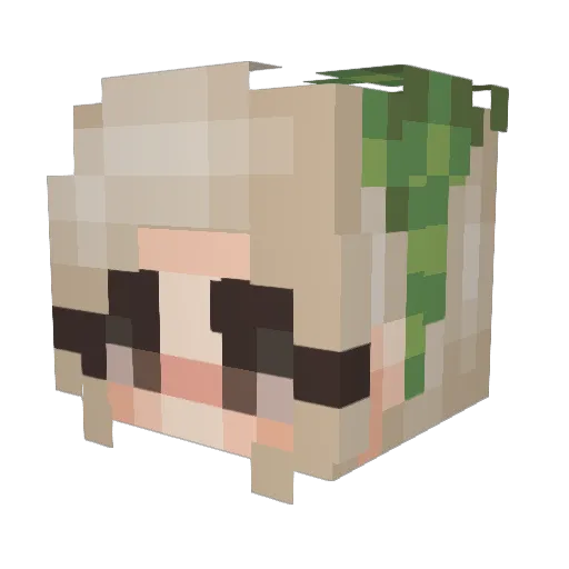 dumpling3 Minecraft avatar head, 3D render