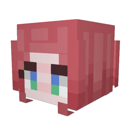 duncan6725 Minecraft avatar head, 3D render