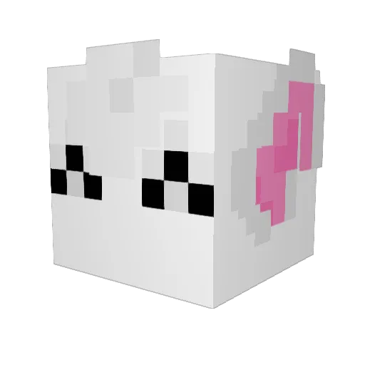 duncannah Minecraft avatar head, 3D render