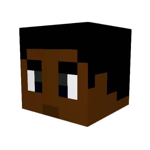 dundidillyyyyyyy Minecraft avatar head, 3D render
